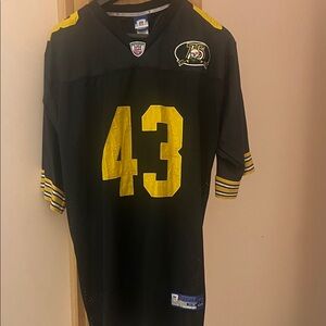 Steelers Jersey. Polamalu